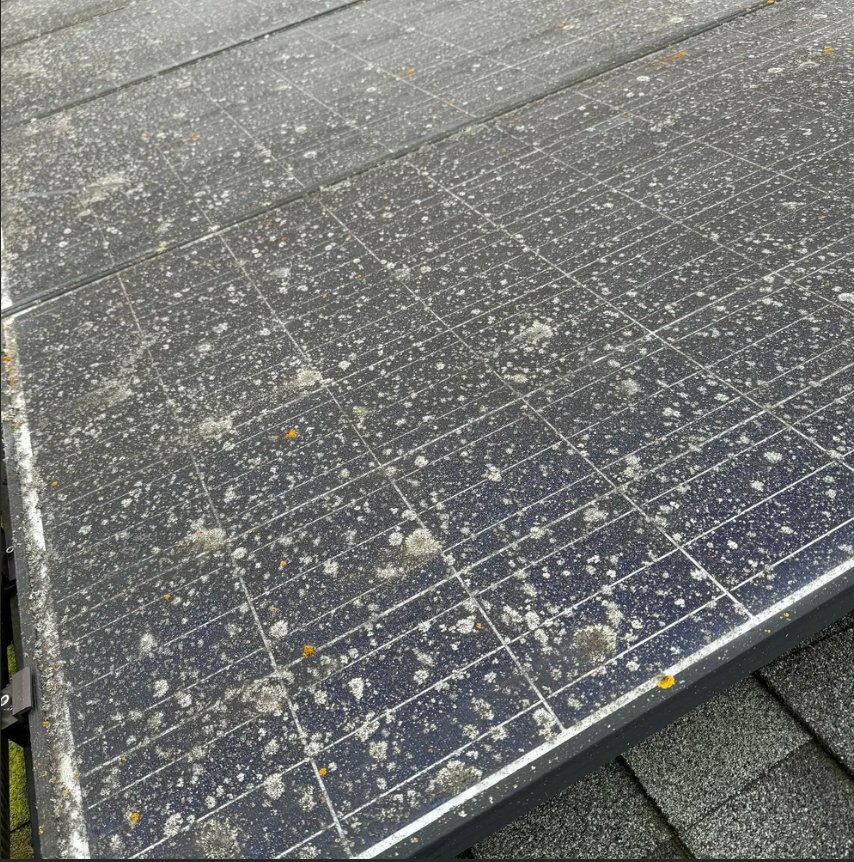 Solar panels before cleaning — heavy mineral spotting and debris